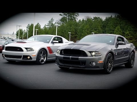 shelby