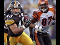 Troy Polamalu