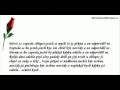 Nat�sek & KA?abQa