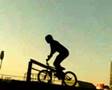 bmx dordt skatepark