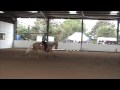 British Reining Champs 2007 - BRS Gold Stream