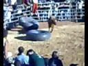 Grupo dos Amigos da Pedreira