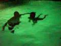 En la piscina 2