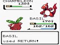 Hoppip Only Run: Fuchsia City