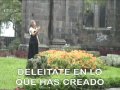 desconocido Ver Video