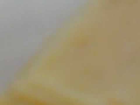 زب داخل طيز