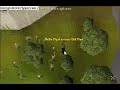 RuneScape News Report - All You Autoers