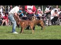 Atibox 2012 - Best Male Selection - The Boxer - Www.the-boxer.com