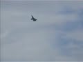 RMAF Mig29N Fulcrum