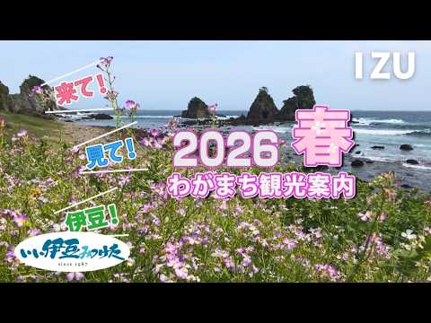 <br />
<b>Warning</b>:  Undefined property: Custom_Field_Suite::$get in <b>/home/xb588889/ikctv.com/public_html/main/wp-content/themes/IKCTV_Theme/parts/parts-archivecard_movie.php</b> on line <b>7</b><br />
<br />
<b>Warning</b>:  Trying to access array offset on null in <b>/home/xb588889/ikctv.com/public_html/main/wp-content/themes/IKCTV_Theme/parts/parts-archivecard_movie.php</b> on line <b>7</b><br />
