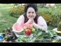 Obese Woman Paid To Eat Quits