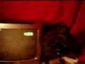 videos de Vidio of me and my friends manfort