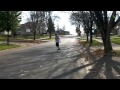 Day to Day Boarding