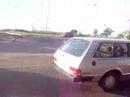 jackass dallorto
