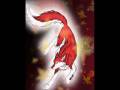 videos de display picture