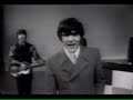 The Buckinghams - Kind Of A Drag