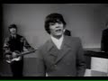 the buckinghams - kind of a drag