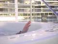 videos de SAN ALFONSO DEL MAR 1 257