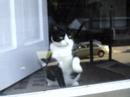 Seriously, I want out...