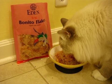 Dried Bonito Flakes by Eden Foods Product Review by Floppycats 0 Dried Bonito Flakes by Eden Foods Product Review by Floppycats