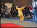 forme tai chi 42 - binche 2002 - ma�tre lu yun ling