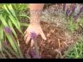Mulching Landscapes