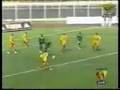 LOBO SUR PEREIRA ( GOL DE CALICHE SALAZAR )