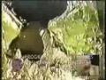 Extraterrestre devora perro y ataca a medico - 2