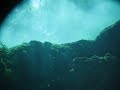 Free Diving At Devil's Eye Spring In The Ginnie Springs Park Near Gainesville, FL