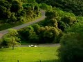 Scary Car Commercial