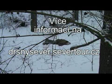 Youtube Video HqJaRpQVuuI