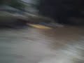 social shit en uruguay