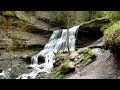 Hörschbachwasserfälle bei Murrhardt - Baden Württemberg