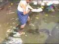 Sanku-"The-meen"