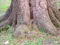 Clip Moby What Love
