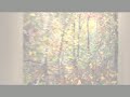 Woody Shepherd Solo Exhibition at NEHMA