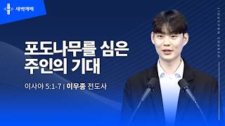 포도나무를 심은 주인의 기대