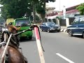 Click here to watch this video Naik Kuda Bendi di Bukittinggi, Sumatera Barat