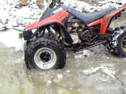 350 warrior 350 warrior