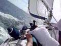 VELERO