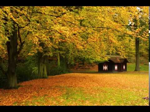 Bimbo - Citra Nan Biru ( Dimataku ada kamu)