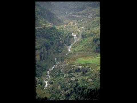 maronite part1