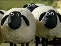 Shaun