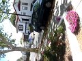 Pittsburg Apartment Outside Flowers