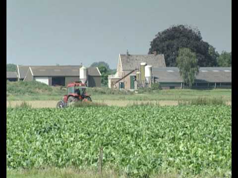 Cortenoever dijkverlegging
