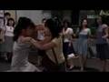 Drama Cat Fight
