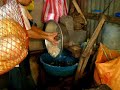 How to grate mature coconut (niyog) for coconut milk