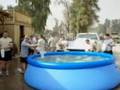 Polar-Bear-Plunging-