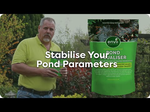 video-linktoworks-How to Keep Your Pond Water Healthy & Balanced