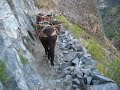Colca canyon trek.